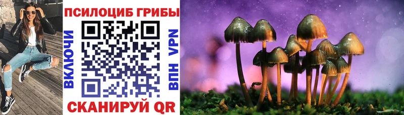 это как зайти  купить закладку  Каневская  Галлюциногенные грибы мухоморы 