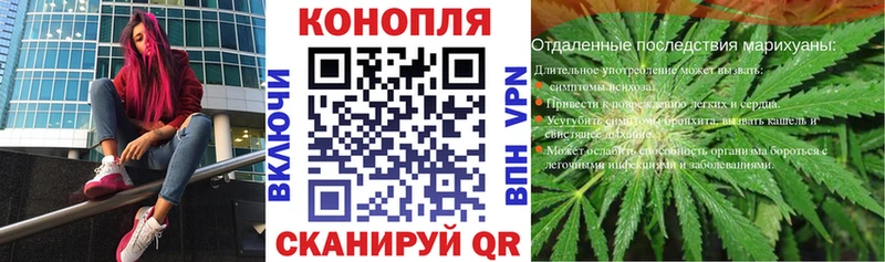 кракен tor  Каневская  Бошки Шишки VHQ  цена наркотик 